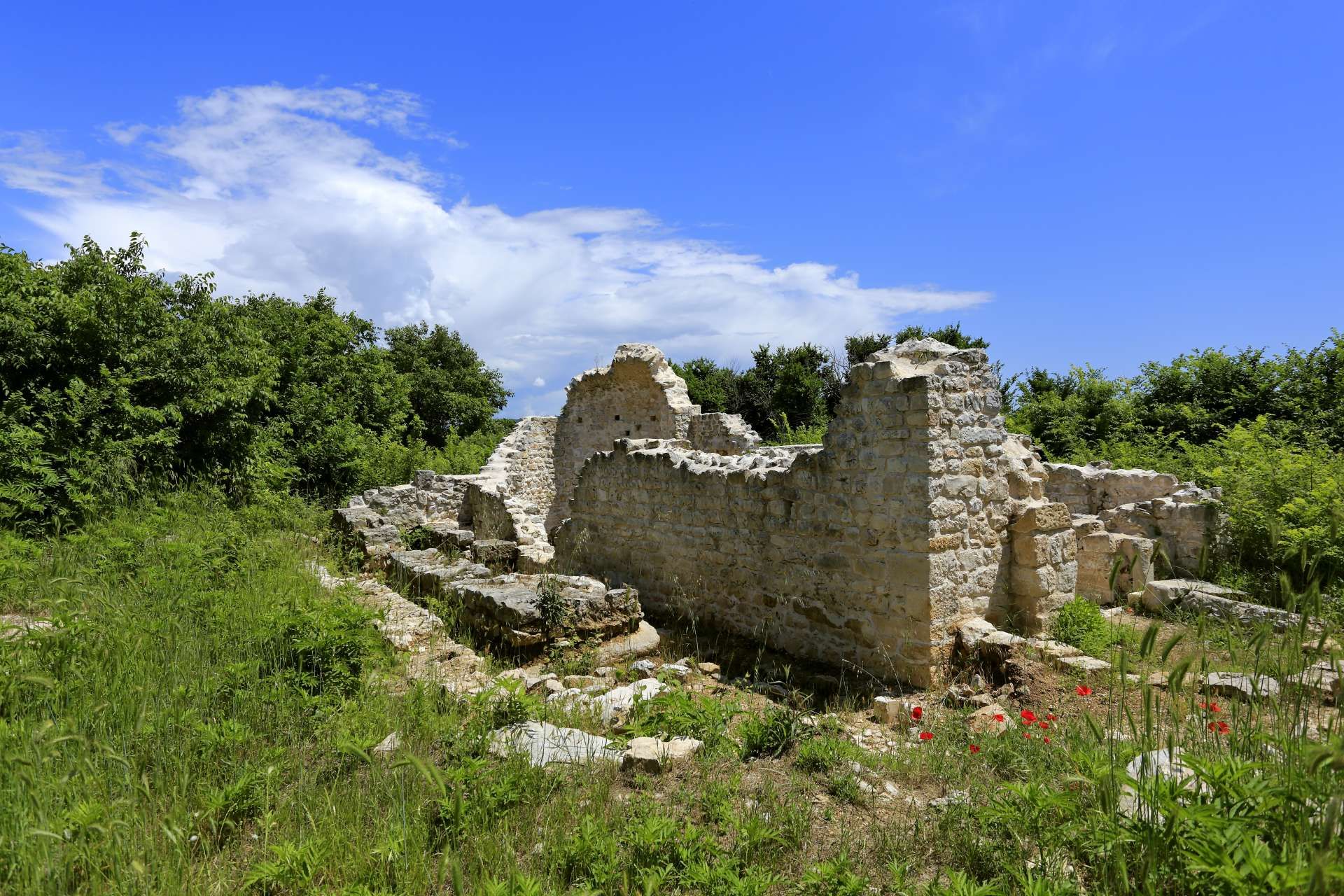 5. Put Crkvina