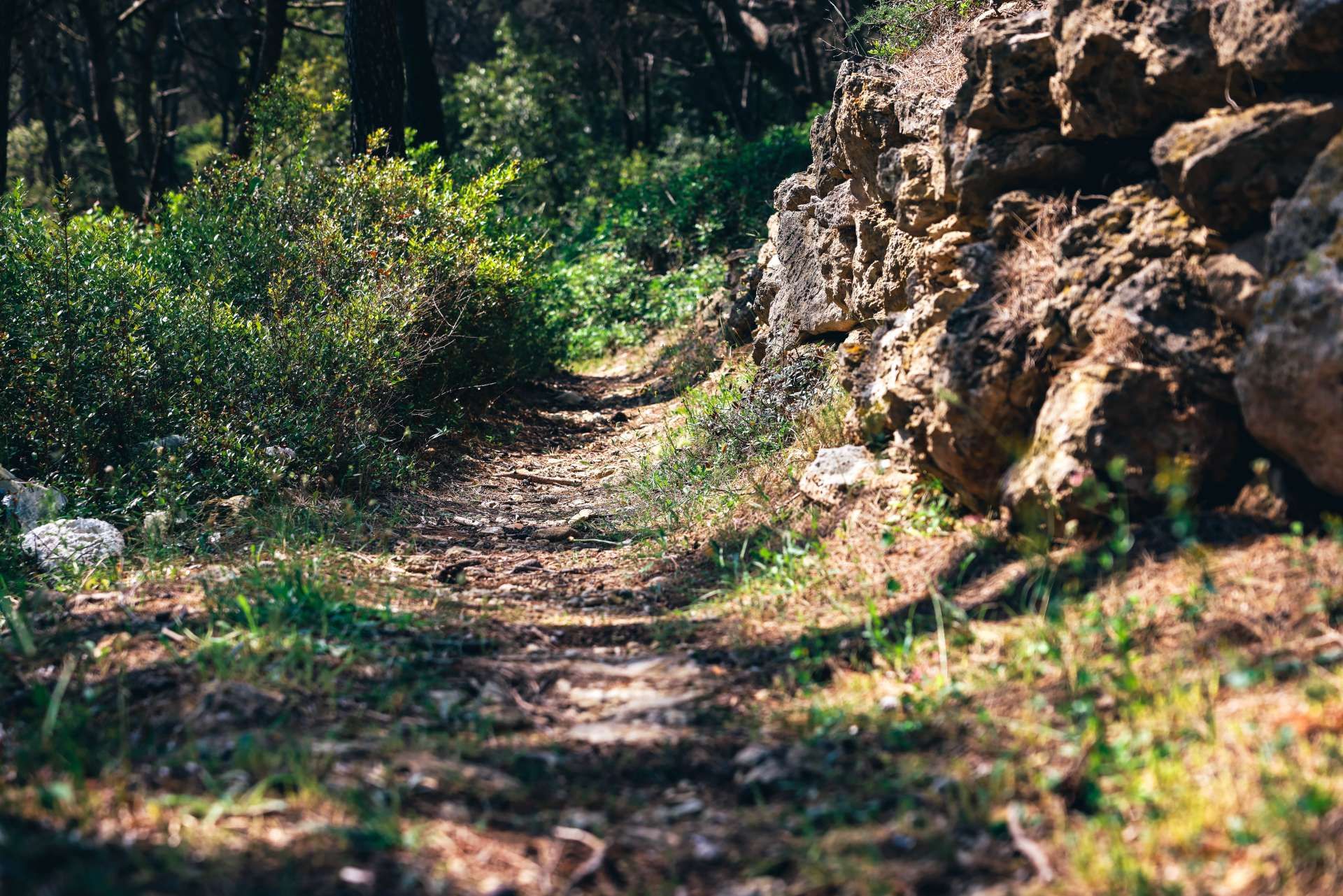 14. Put Kranje