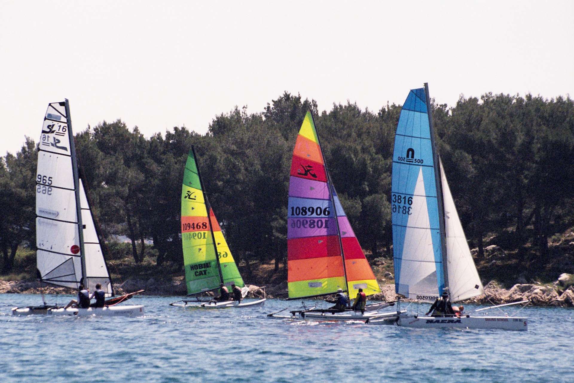 Regata malih katamarana
