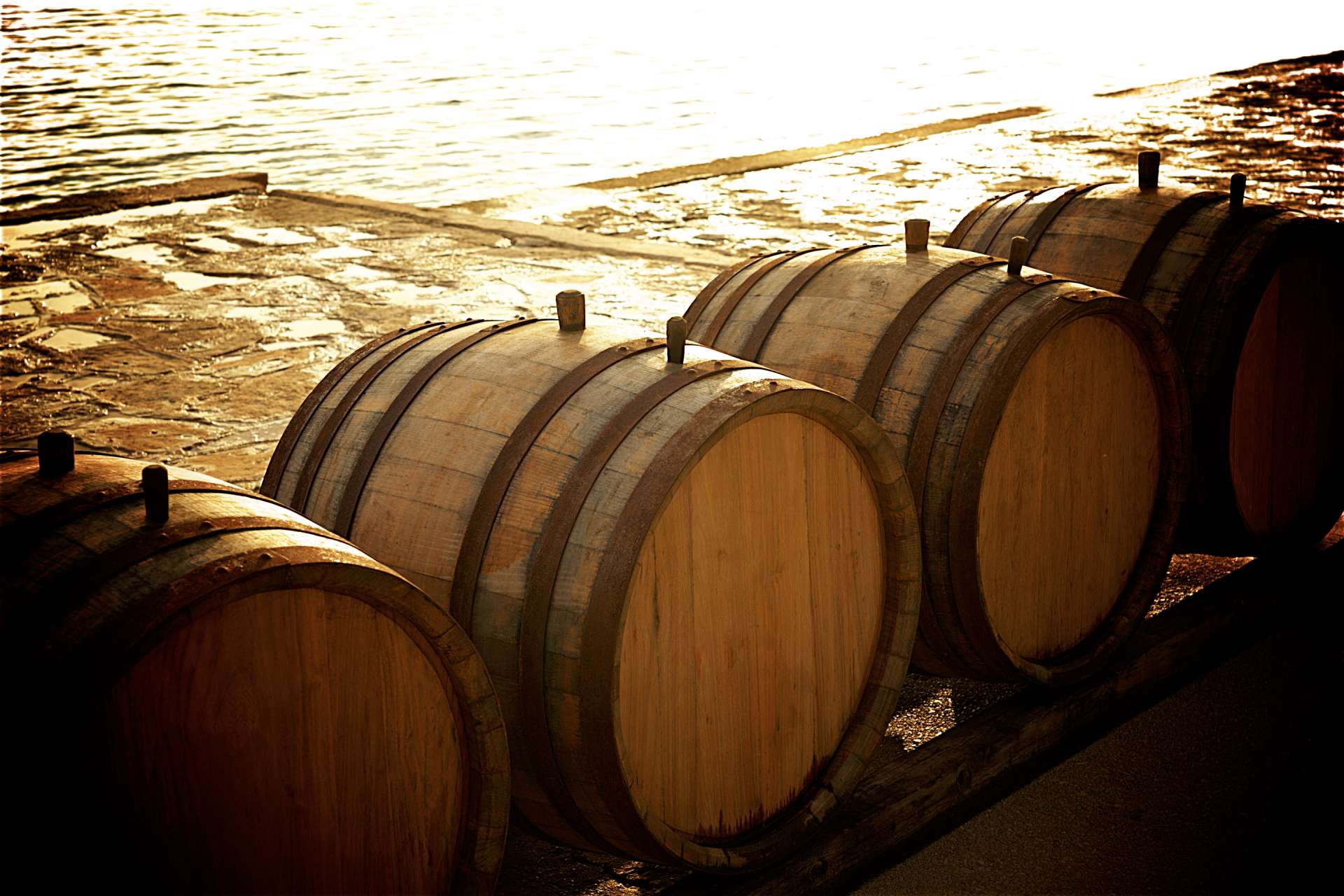 Bužak wine fest