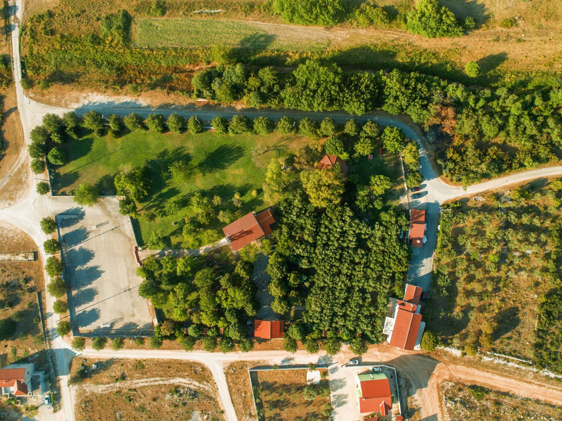 Vrana