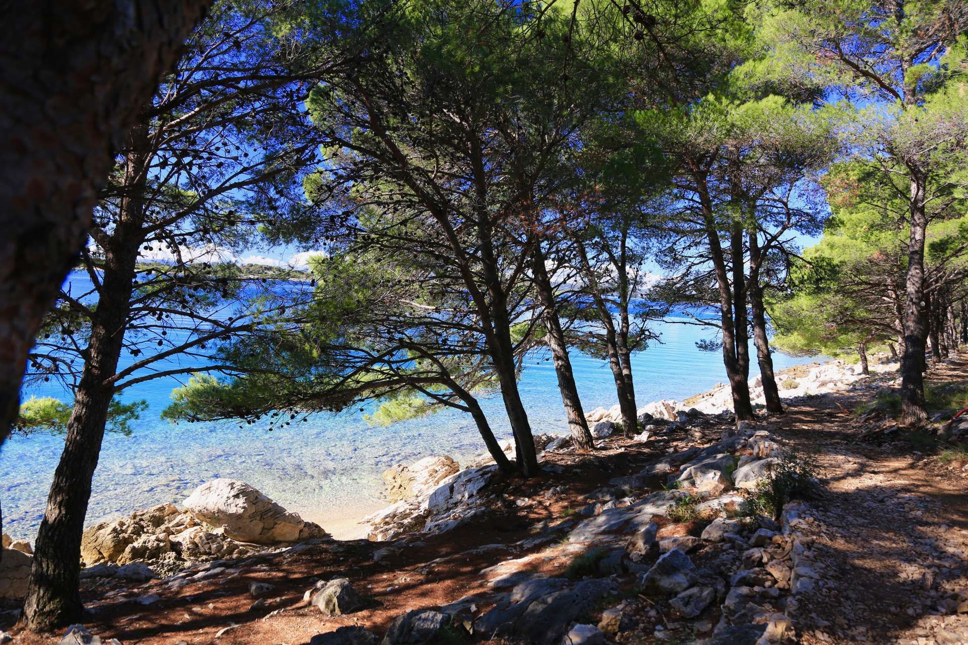 Potražite skrivena mjesta između stijena na plaži Poškaljina i osvojite malu uvalu
samo za sebe i svoje društvo. Staze vode kroz borovu šumu koja pruža nezamjenjiv
prirodan hlad.