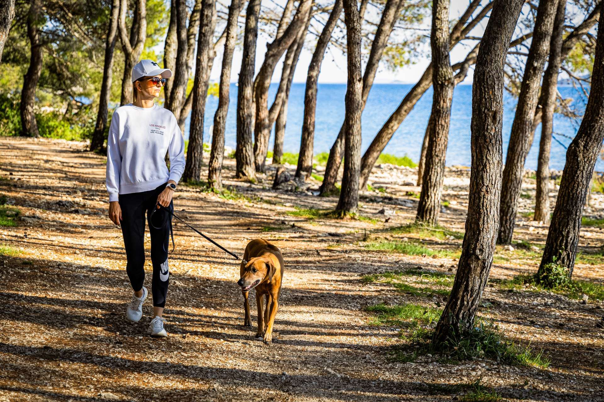 Staza u hladu borove šume vodi duž plaže Dolaška draga. Istražite njezin pravac,
potražite lučicu, pristupe moru i jedinstvene ljepote ovog mjesta.