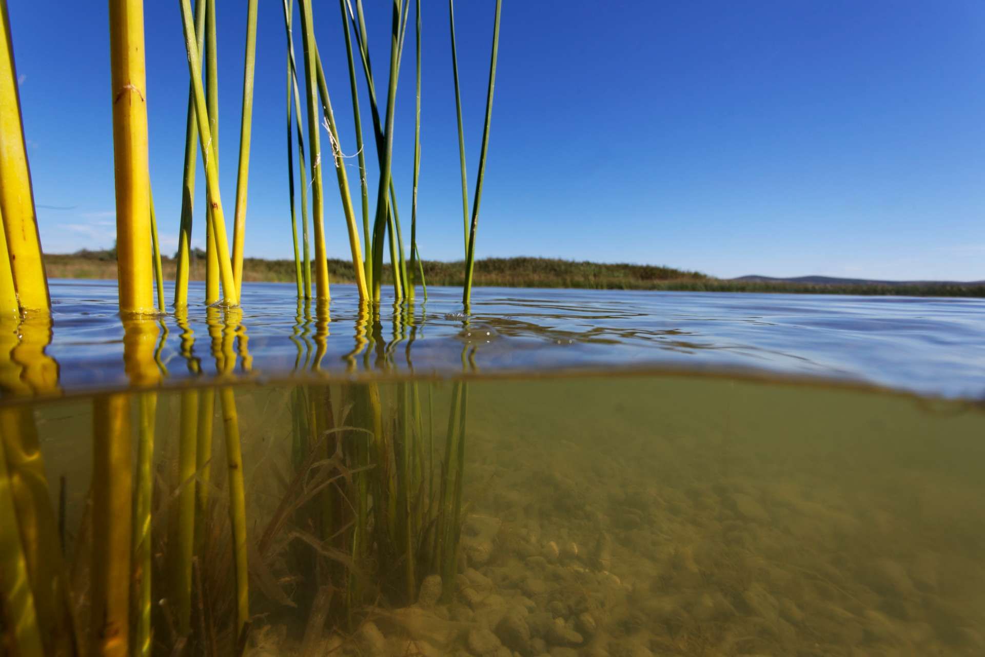 Vransko jezero 1