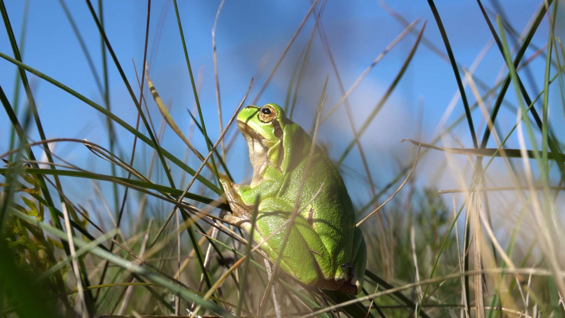Ornitološka staza