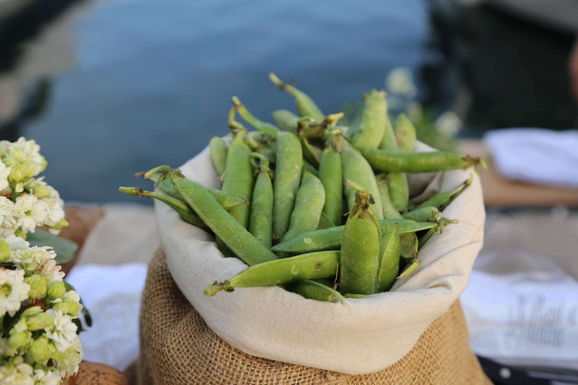 Grašak 