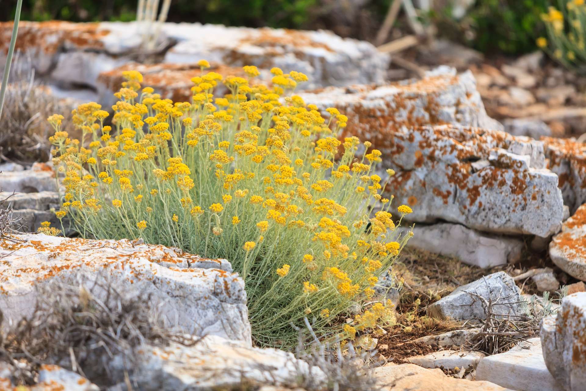 Nacionalni park Kornati
