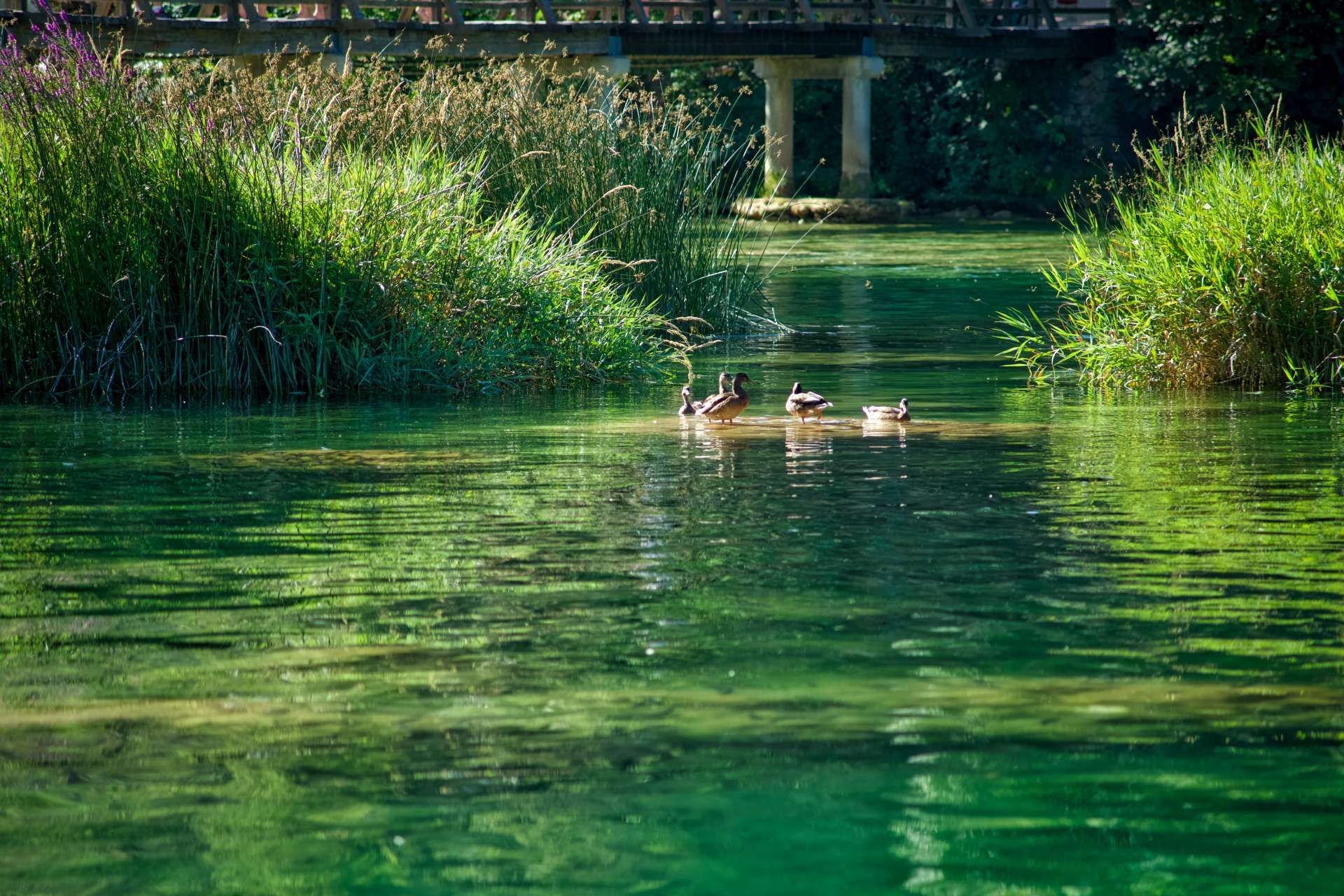Nacionalni park Krka