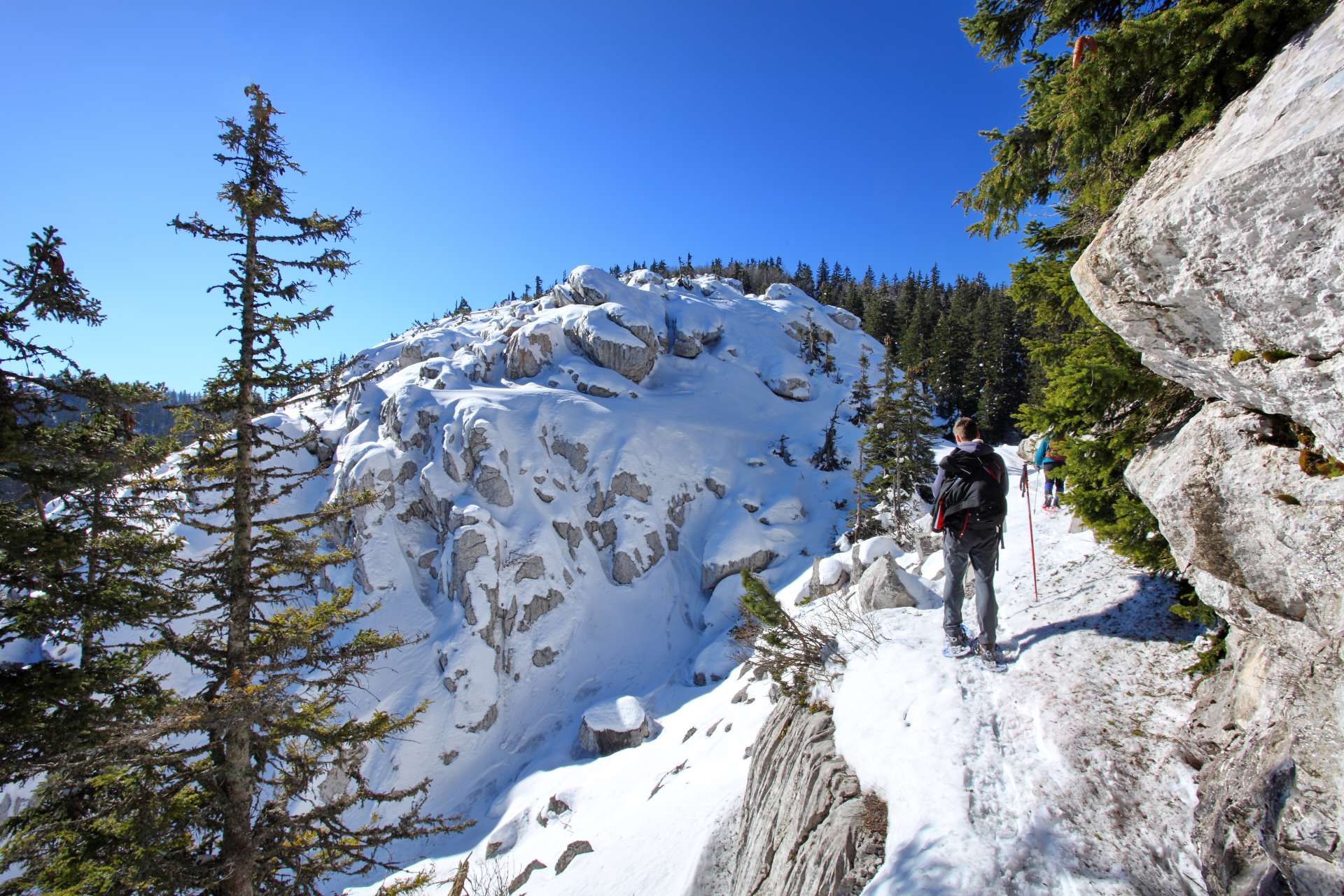 Park prirode Velebit