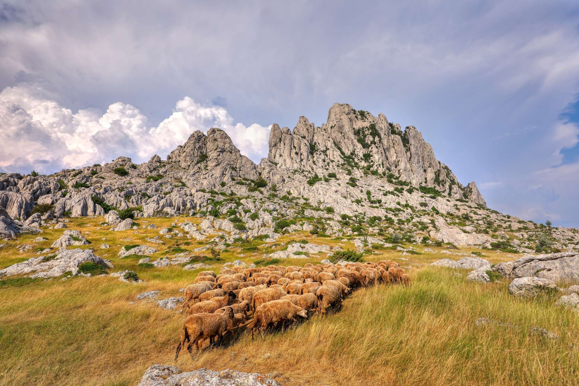 Park prirode Velebit