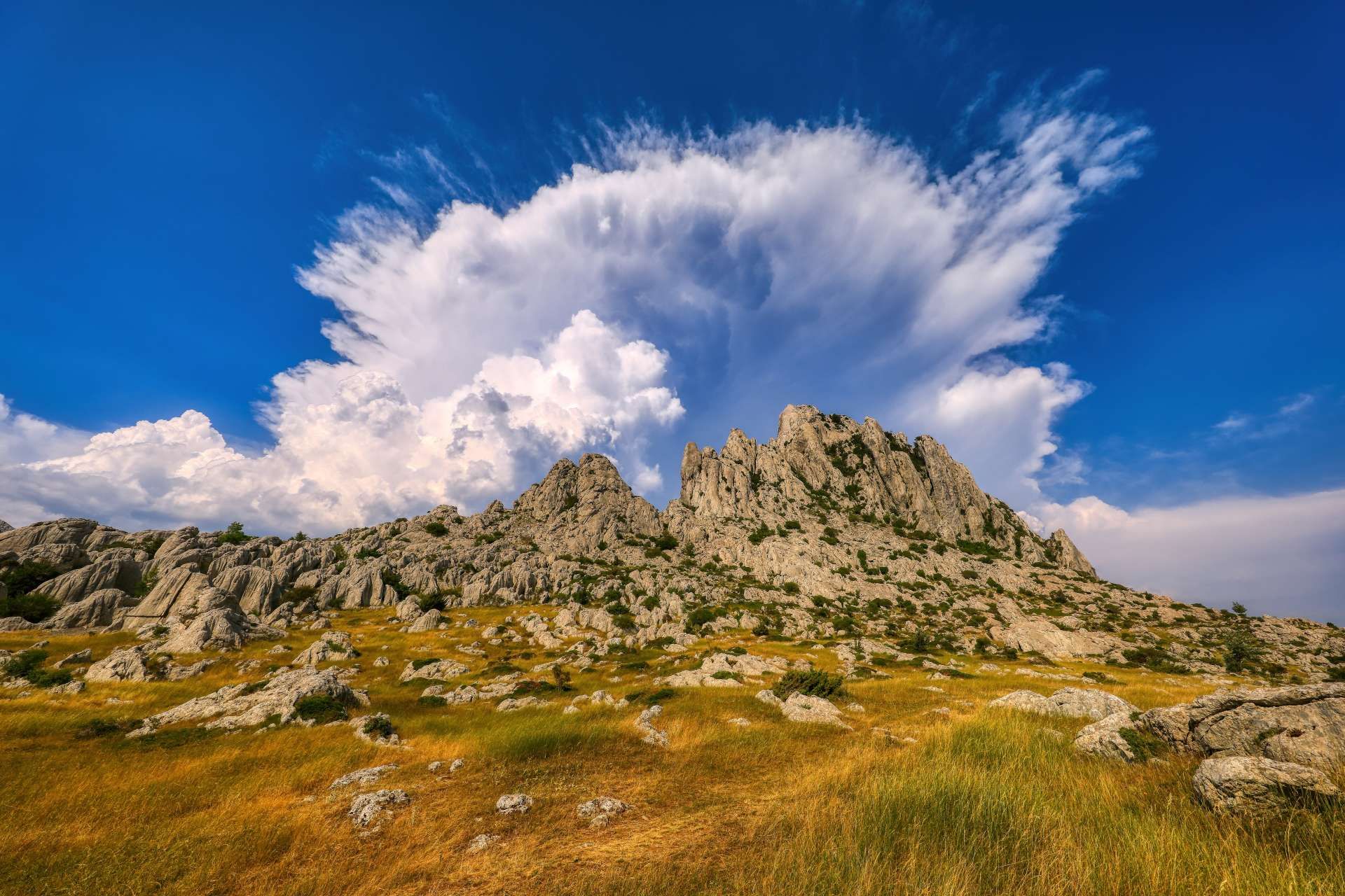 Park prirode Velebit