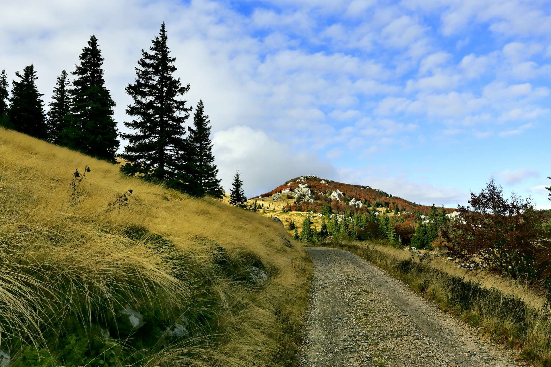 Nacionalni park Sjeverni Velebit