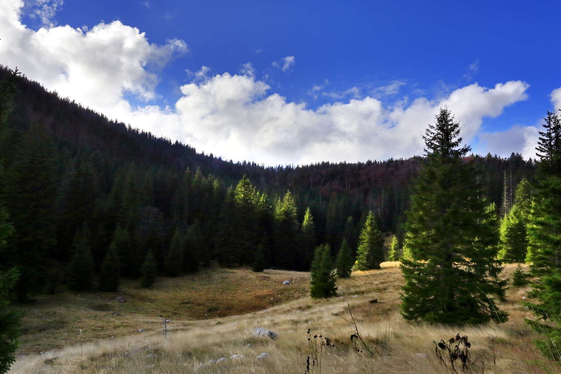 Nacionalni park Sjeverni Velebit