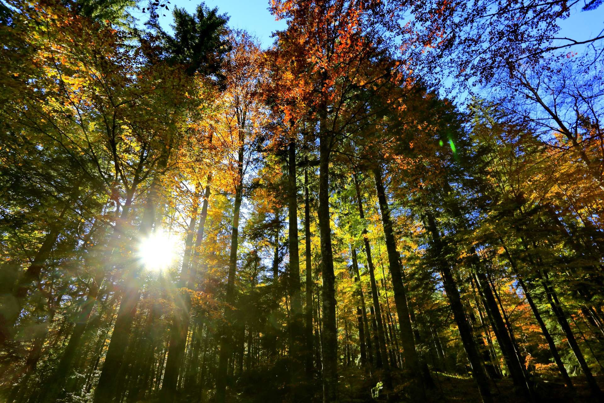 Nacionalni park Sjeverni Velebit