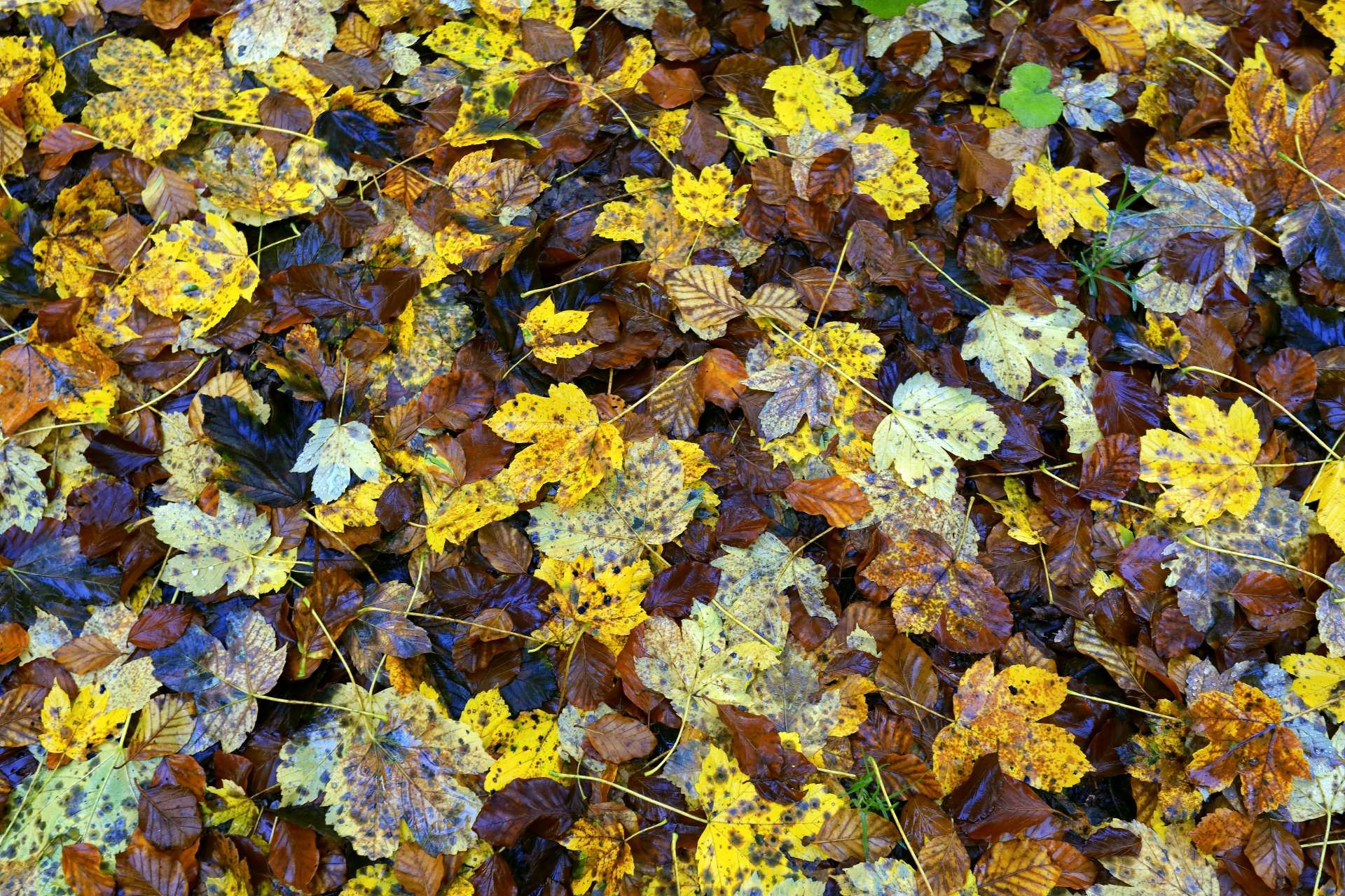 Nacionalni park Sjeverni Velebit