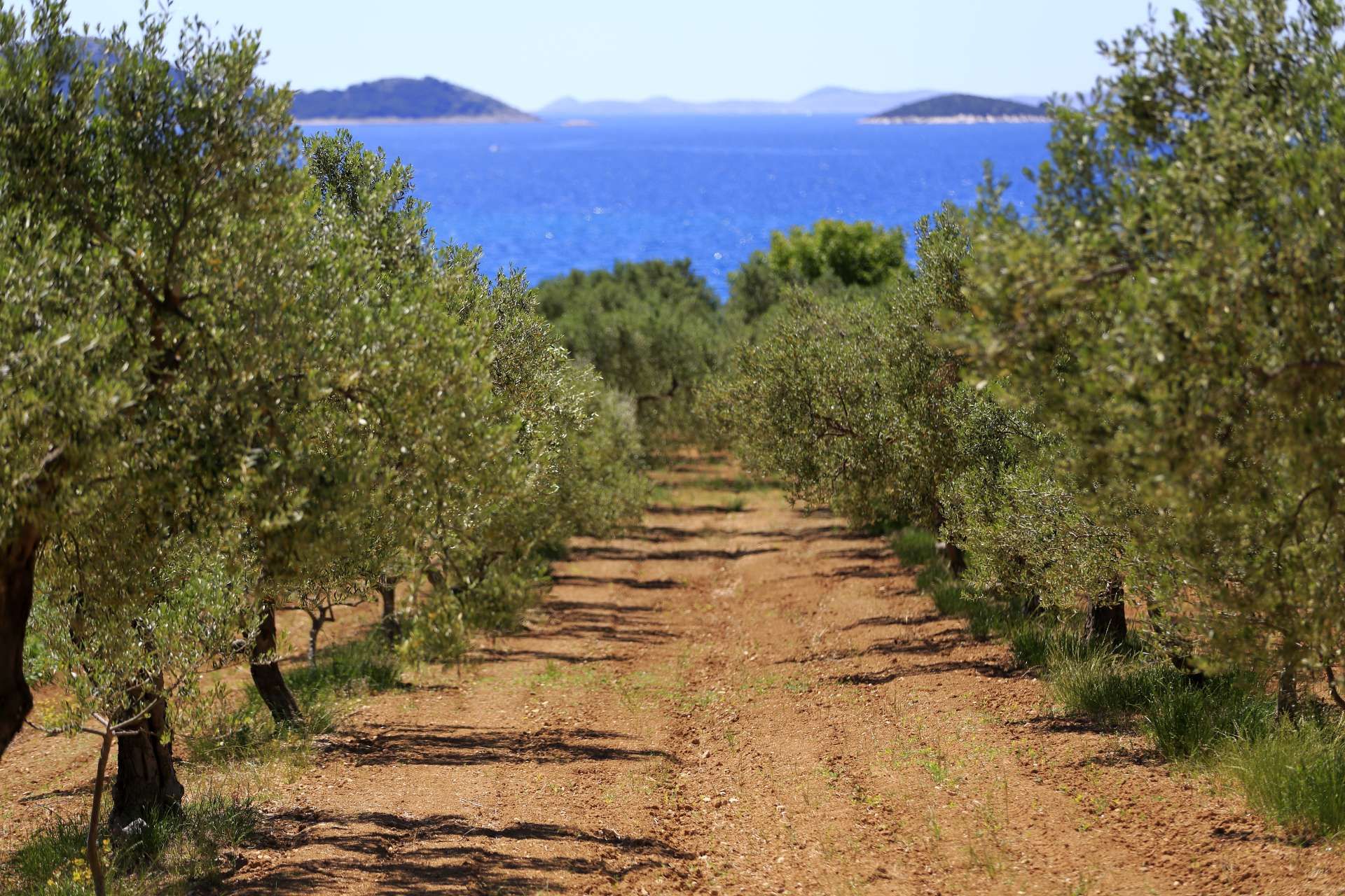 2. Biciklistička ruta Pakoštane-Vrana-Drage