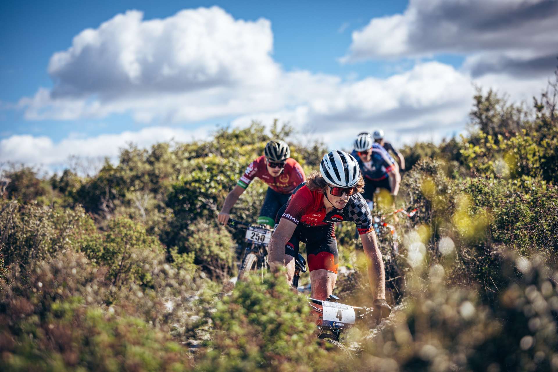 9. Pakoštane-Prosika-Crkvine-Maškovića Han Cycling Trail