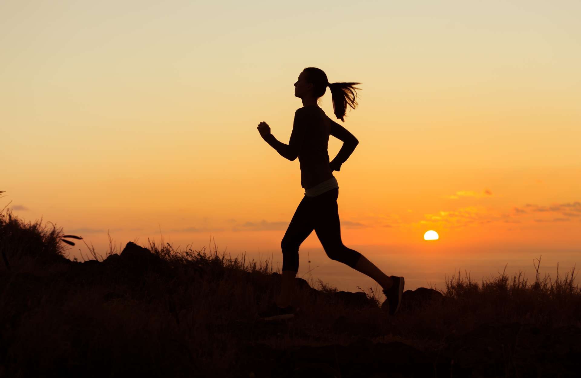 Moonlight run
