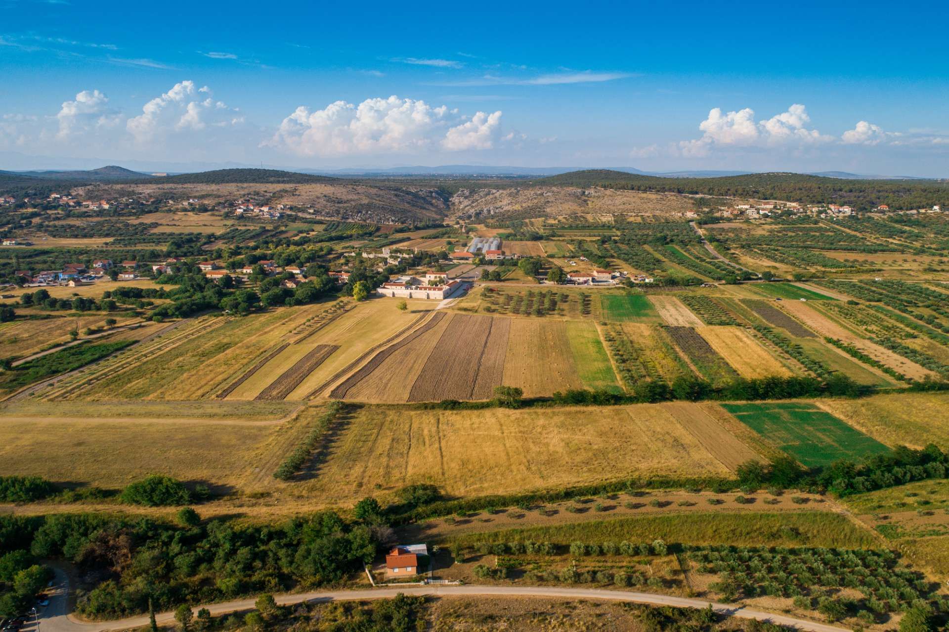 Vrana